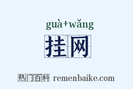 挂网是什么意思的图片